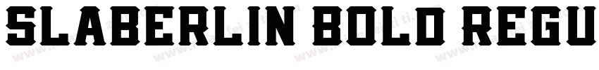 Slaberlin Bold Regul字体转换